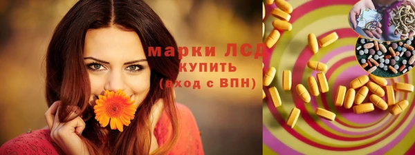 spice Богородицк