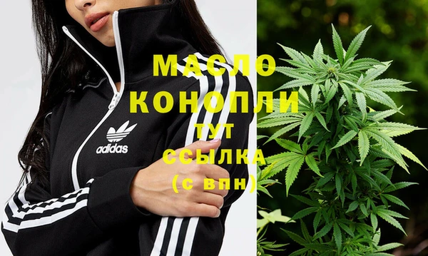 стафф Богданович