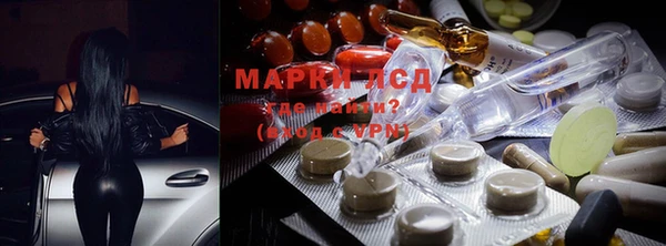 spice Богородицк