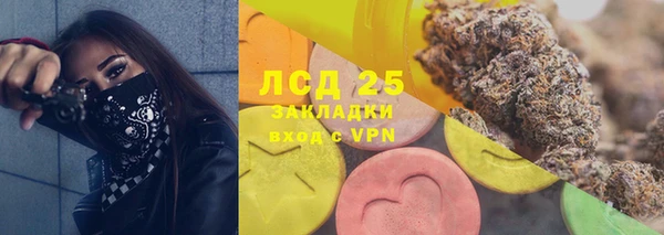 стафф Богданович