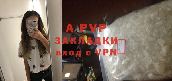 spice Богородицк