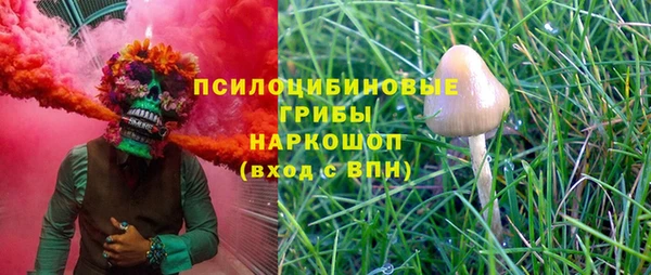 стафф Богданович