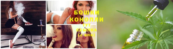 spice Богородицк
