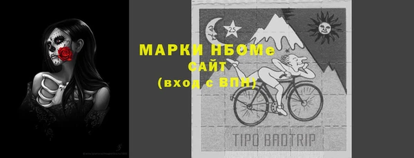 мдпв Богородск