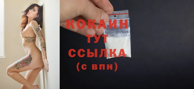 spice Богородицк
