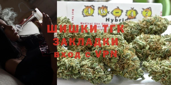spice Богородицк