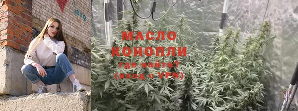 мдпв Богородск