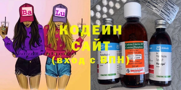 мдпв Богородск
