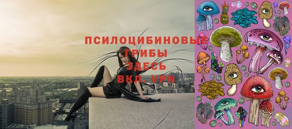 мдпв Богородск