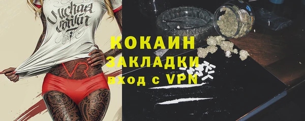 spice Богородицк