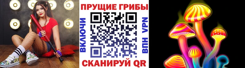 Купить закладки  Мегион  Галлюциногенные грибы ЛСД 